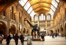 Top 30 Most Visited Museums In The World