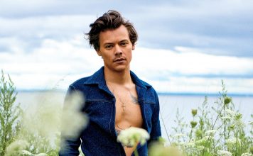 Harry Styles – Music Career, Personal Life, Age, Net Worth And More