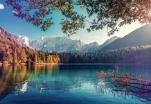 Quotes About Nature – Inspiring, Motivational And The Most Beautiful Quotes