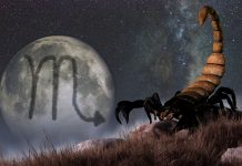 Scorpio Horoscope – Career, Personal Life, Money And Future Predictions