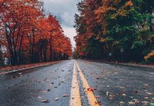 The Best Fall Instagram Captions – Cute And Funny Captions For Every Photo You Post This Autumn