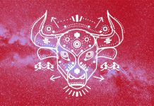 Taurus Horoscope – Love, Life, Family, Money, Health And More