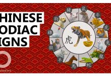 Chinese Astrology Signs: What Impacts Compatibility?