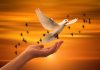 Faith Quotes to Inspire You During Difficult Times