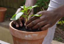 Garden Quotes To Inspire You All Year Long