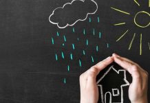 Is Peer-to-Peer Insurance Right for Your Business?