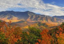 Mountain Quotes to Ignite Your Sense of Adventure