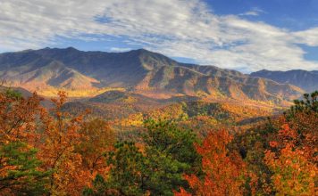 Mountain Quotes to Ignite Your Sense of Adventure