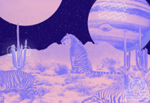 The Zodiac Duos Destined To Be Platonic Soulmates